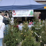 Jarmark Bożonarodzeniowy (19)