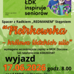 Wycieczka