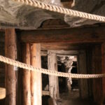 Wycieczka do Wieliczki (14)