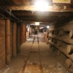 Wycieczka do Wieliczki (60)